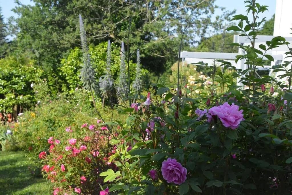 Salon de thé, jeux en Mayenne