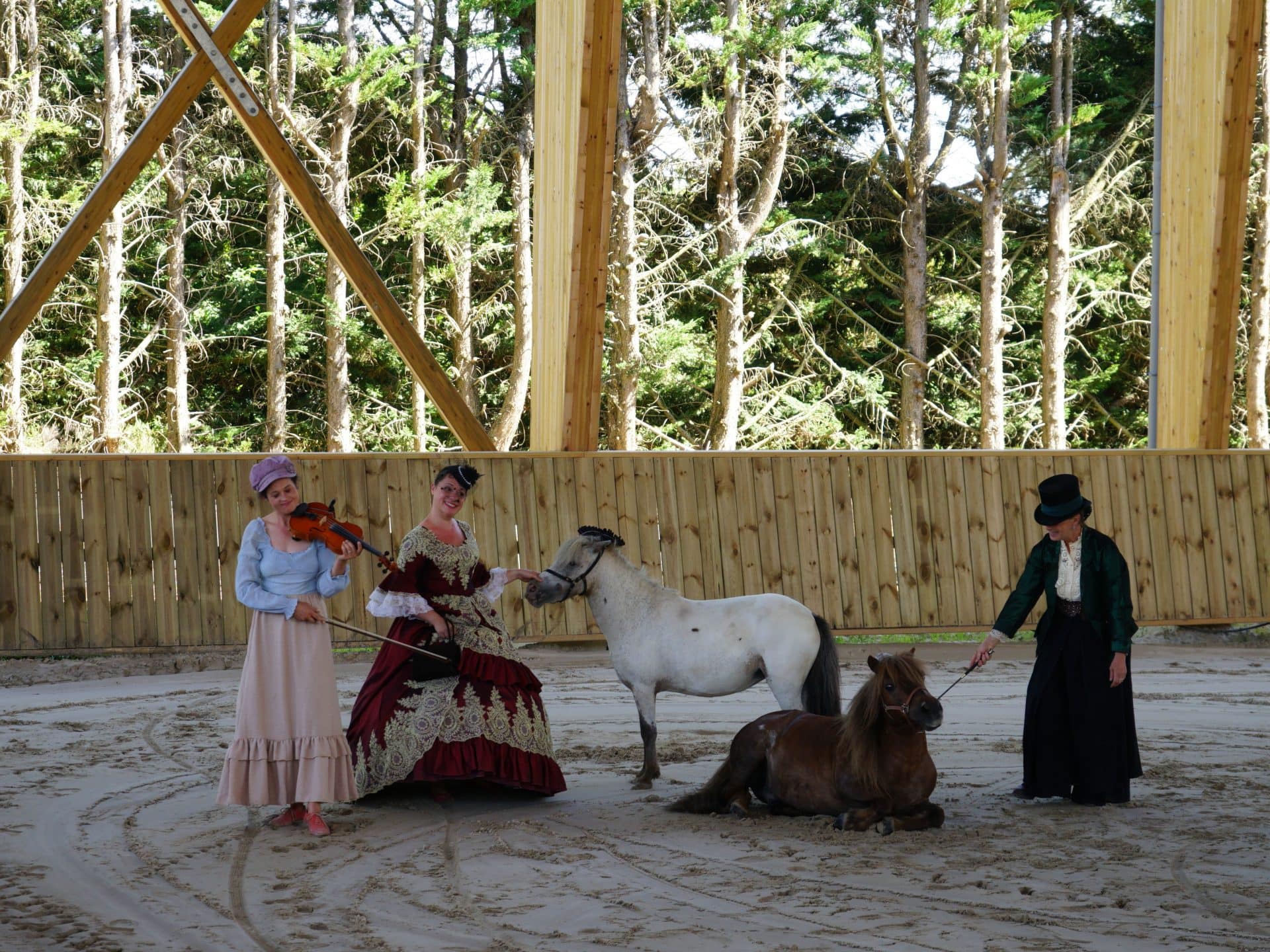 Spectacle équestre en Mayenne – Saison 2027